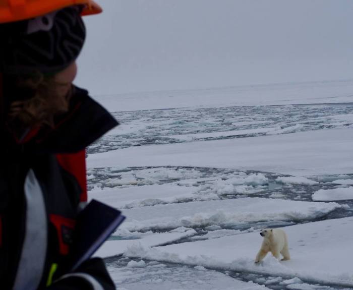 32882013_10204601345151575_2692975641694830592_n