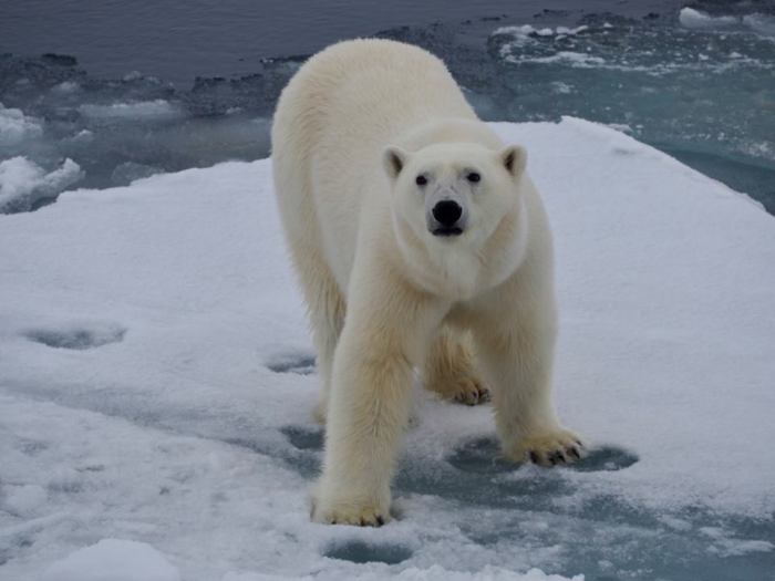 32945188_10204601345391581_4442644695591419904_n